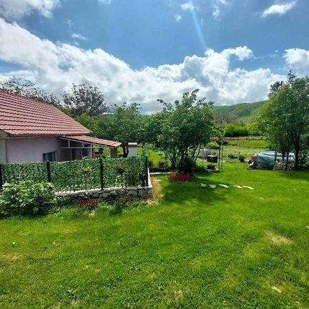 Village Flower Ivy Montenegro Никшич Экстерьер фото