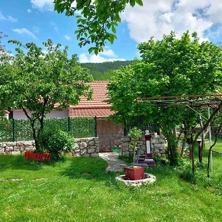 Village Flower Ivy Montenegro Никшич Экстерьер фото